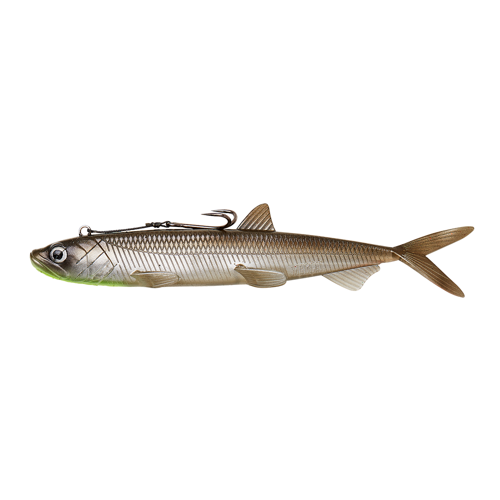 Smelt