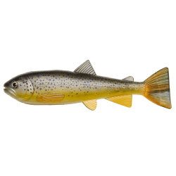 Trout Skinz 20 cm - Per Stuk - Brown Trout